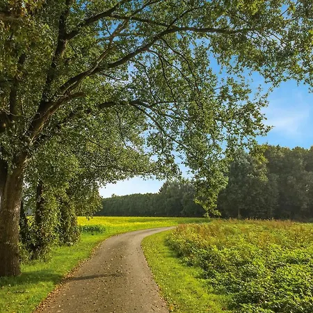 Beautiful In With Wifi Neede