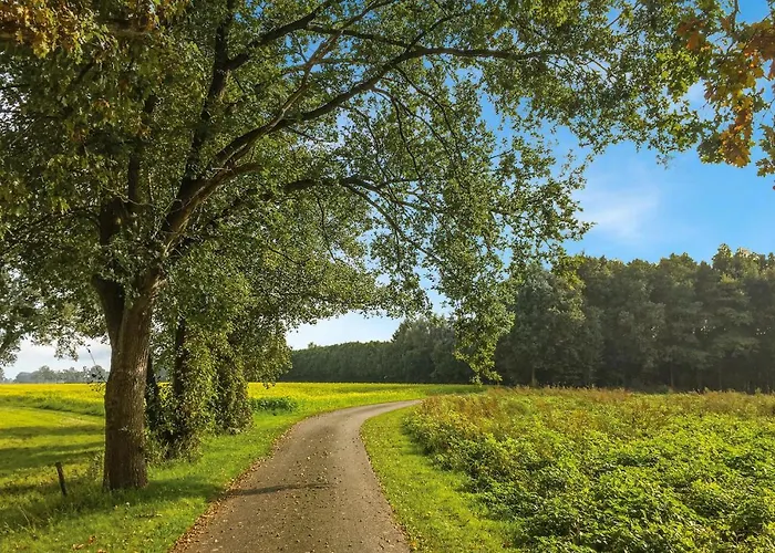 Beautiful In With Wifi Neede